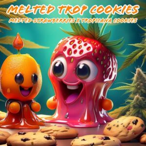 Strawberry Blue Cheese Auto (3 Fem Auto Seeds)